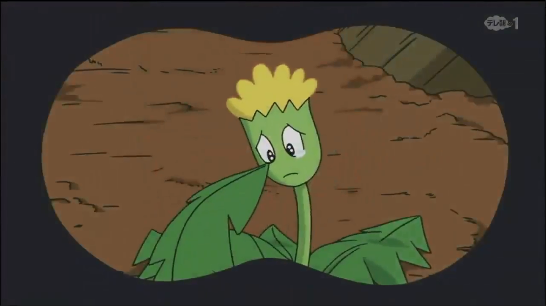 Tập 10 - Bồ công anh ơi, bay lên nào