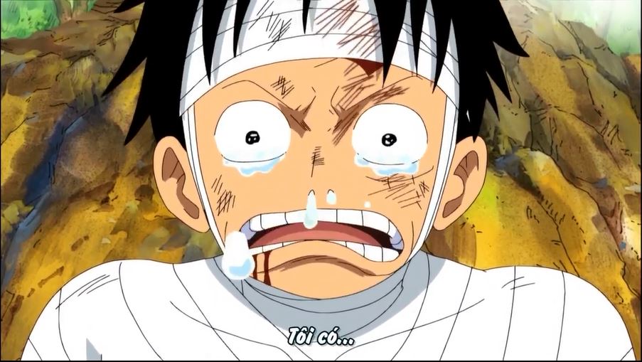 Tập 505 - Tôi muốn gặp họ! Tiếng thét đẫm nước mắt của Luffy!
