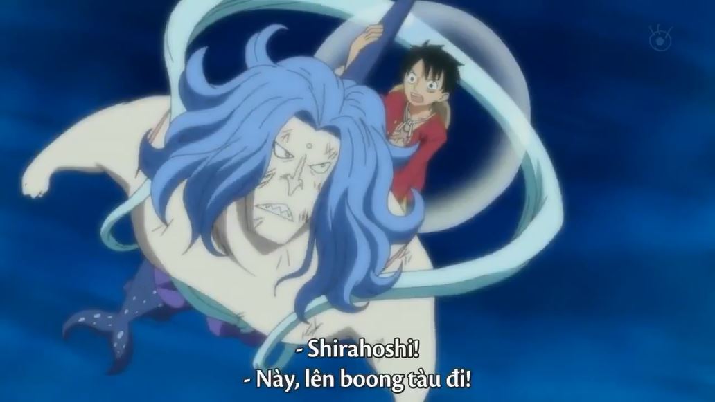 Tập 559 - Nhanh lên, Luffy! Mạng sống Shirahoshi gặp nguy hiểm