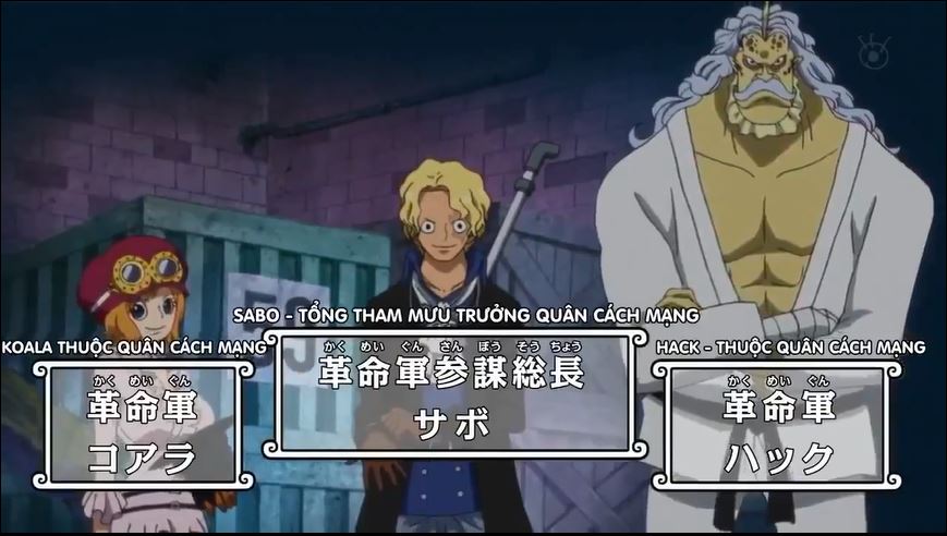 Tập 679 - Xuất đầu lộ diện! Tổng Tham mưu Trưởng Quân Cách Mạng Sabo!