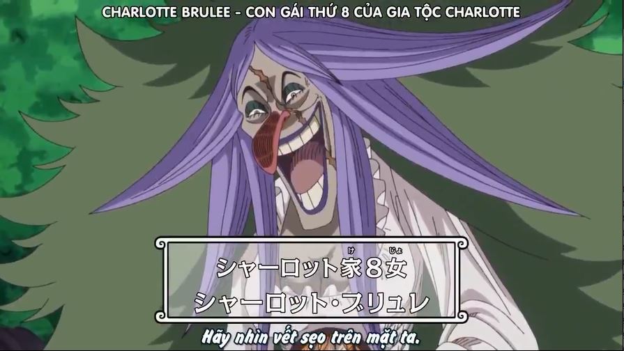 Tập 792 - Sát thủ của mẹ - Khu rừng mê hoặc!