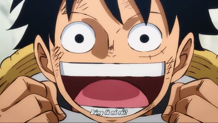 Tập 936 - Quyết tâm! Ryuo - Haki Vũ Trang cấp cao ở Wano Quốc!