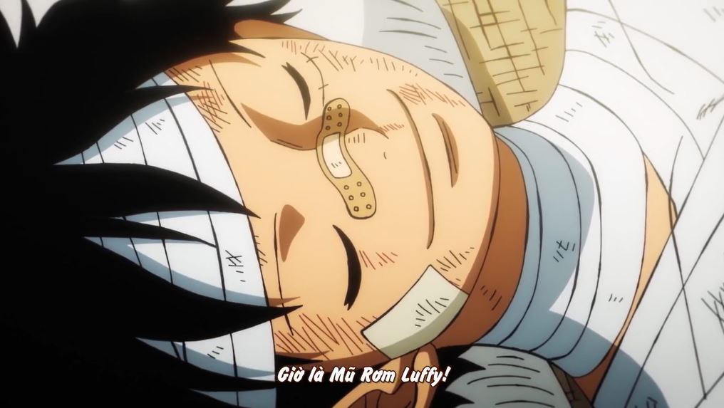 Tập 1077 - Hạ màn! Người chiến thắng: Luffy Mũ Rơm!