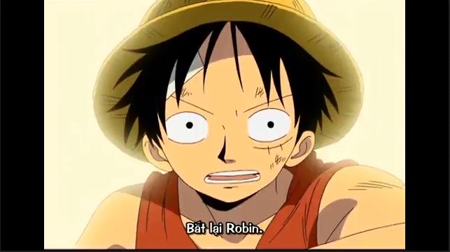 Tập 241 - Bắt lại Robin! Quyết định của nhóm Mũ Rơm