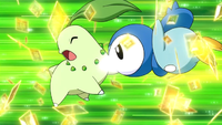 Tập 612: Hội chợ Johto! Chikorita và Waninoko xuất hiện!!
