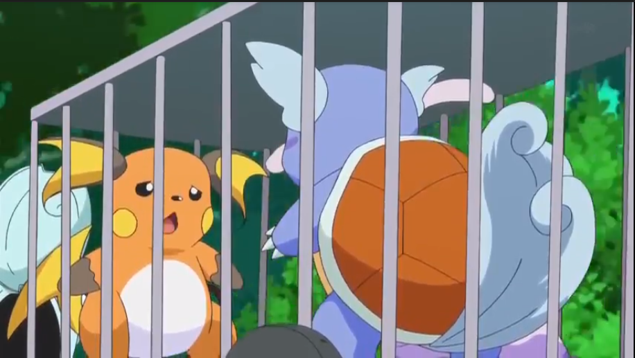 Tập 869: Kameil, Raichu xuất hiện! Numeil cố lên!!