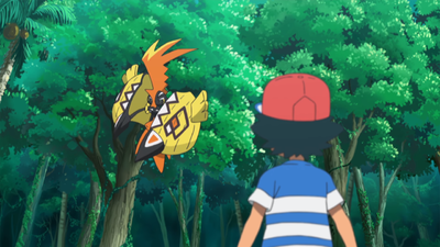 Tập 946: Thần bảo hộ Kapu-Kokeko xuất hiện! Thách chiến, Tuyệt kỹ Z của chúng ta!!