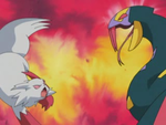 Tập 324: Zangoose VS Habunake! Quyết đấu đối thủ!!